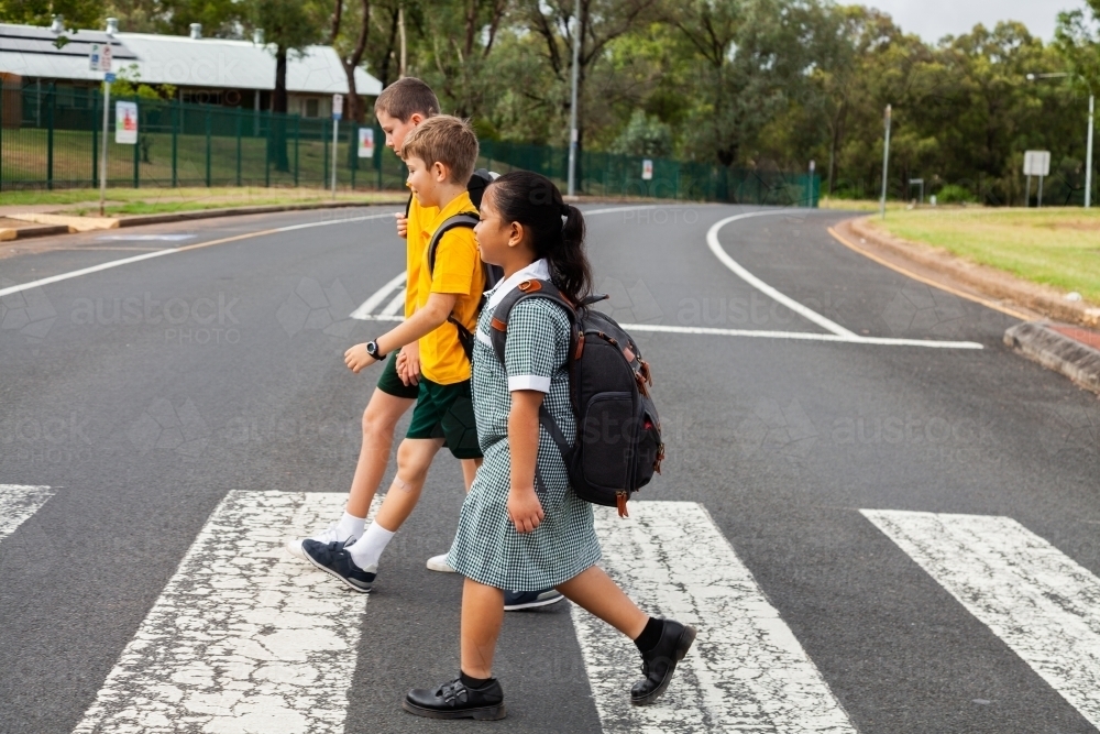 Three public school kids walking to school - crossing the road at a pedestrian crossing - Australian Stock Image