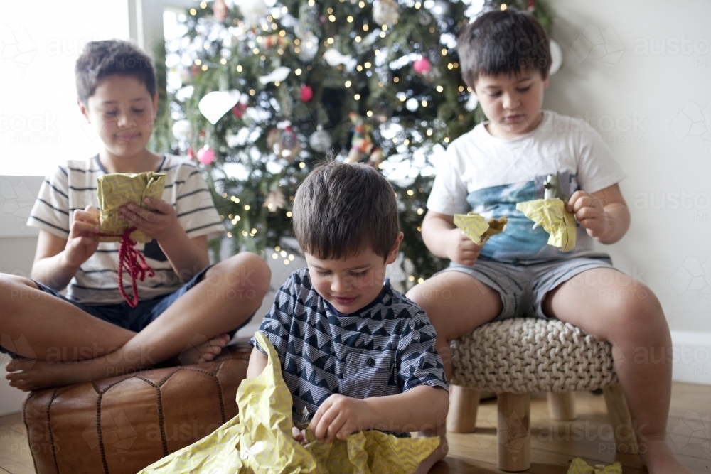 Three young boys opening christmas presents - Australian Stock Image