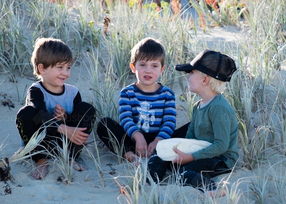 Three young boys sitting in coastal dune and talking with a collection of cuttlefish - Australian Stock Image