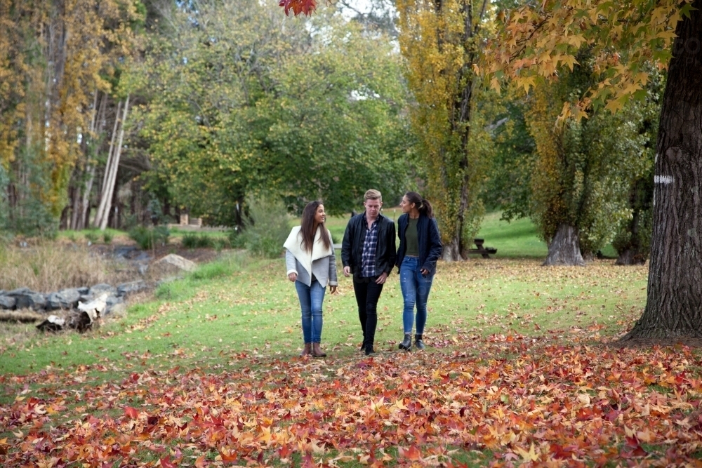 Three young people walking together in a park - Australian Stock Image