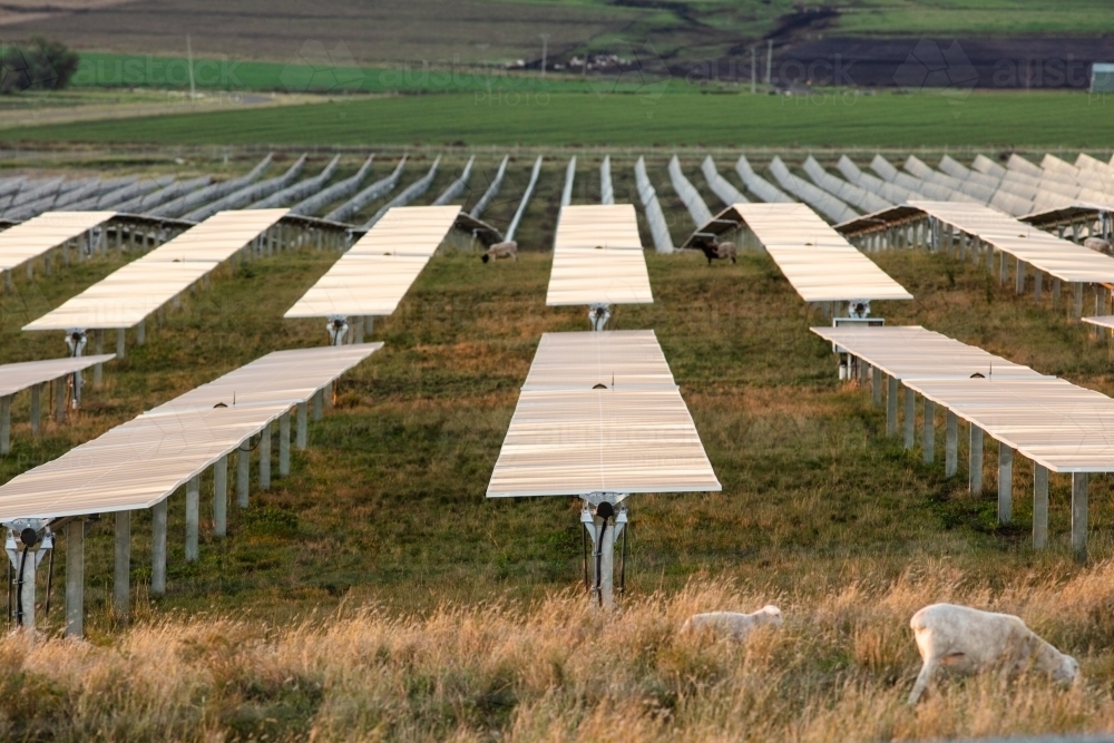 Tilting solar farm panels outside of Warwick at sunset - Australian Stock Image
