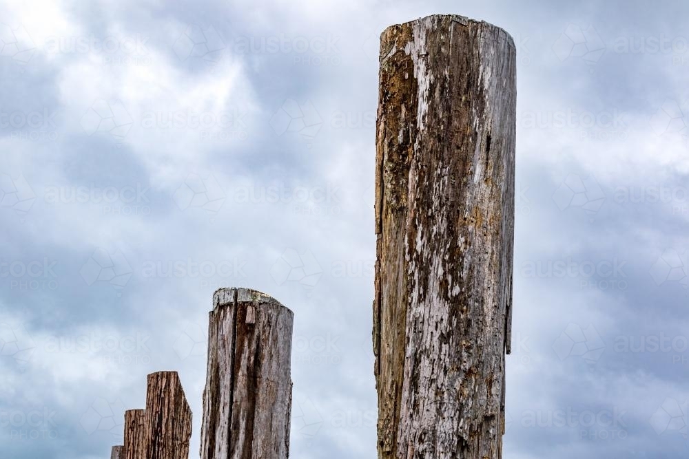 Image of Timber jetty pylons Austockphoto
