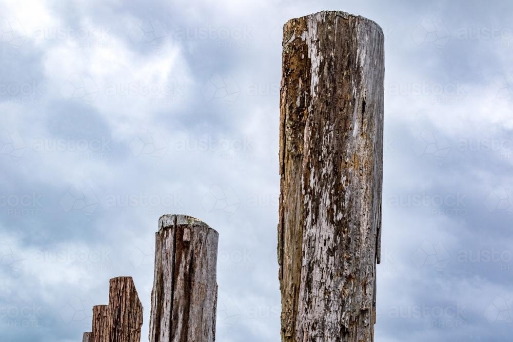 Timber jetty pylons - Australian Stock Image