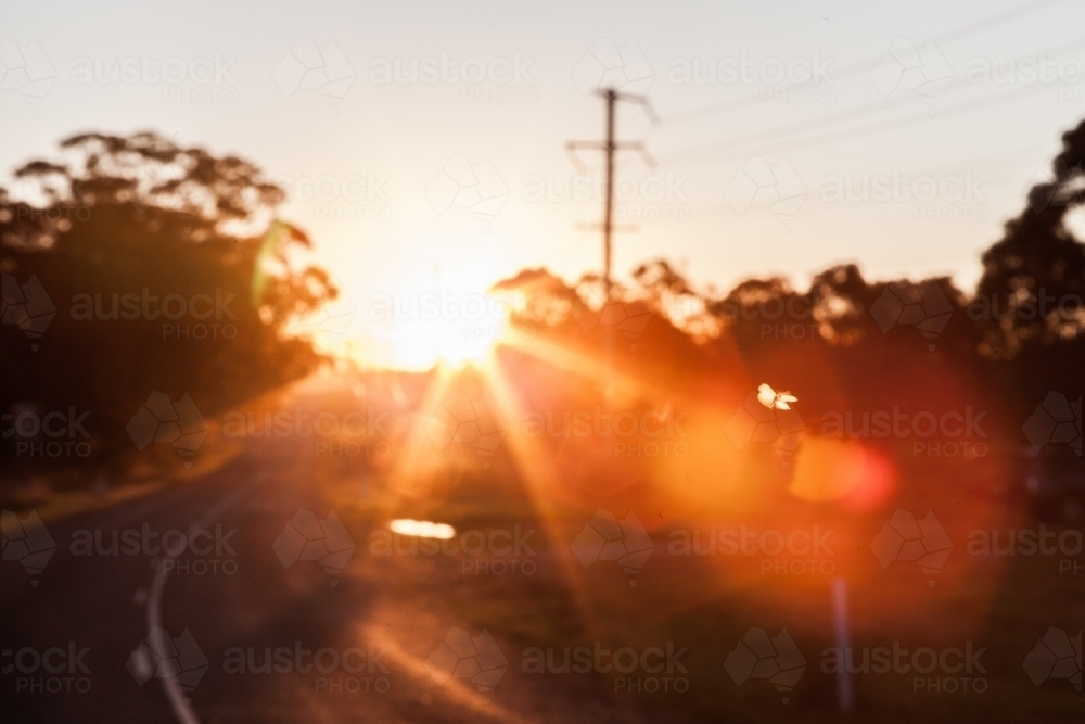 Tiny insect flying above the road in the afternoon sunlight - Australian Stock Image