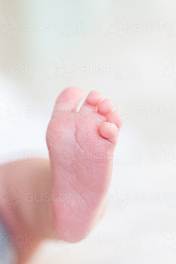 Tiny newborn toes and foot - Australian Stock Image