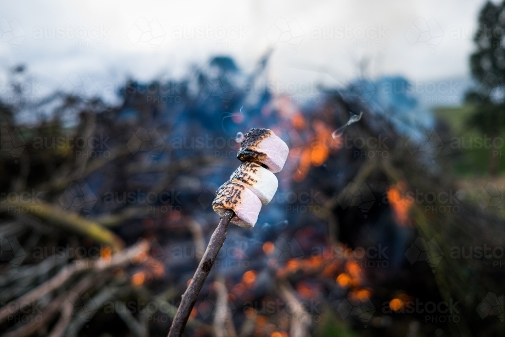 Toasted marshmallow on a stick bubbling and smokey - Australian Stock Image