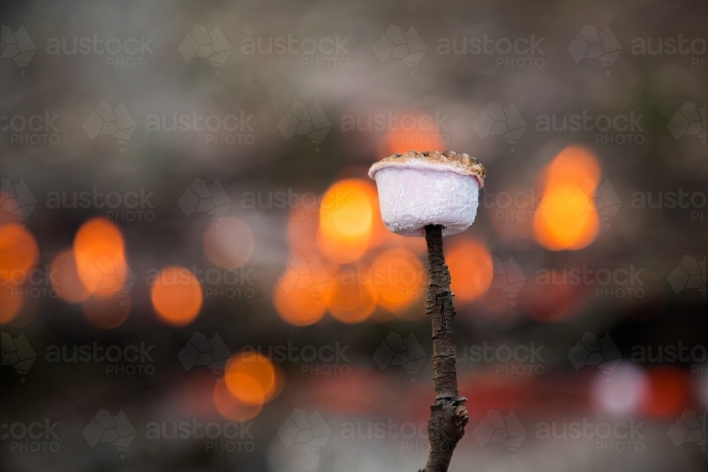 Toasted pink marshmallow on a stick by a campfire with bokeh light - Australian Stock Image