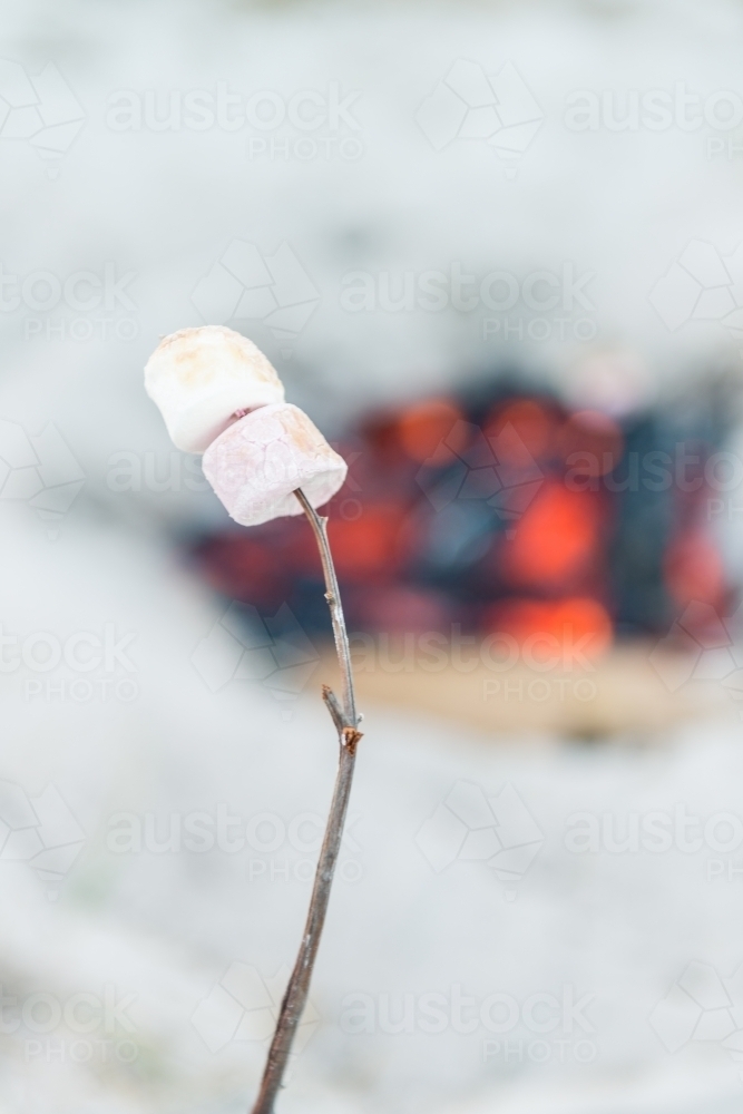 toasting marshmallows over a camp fire - Australian Stock Image