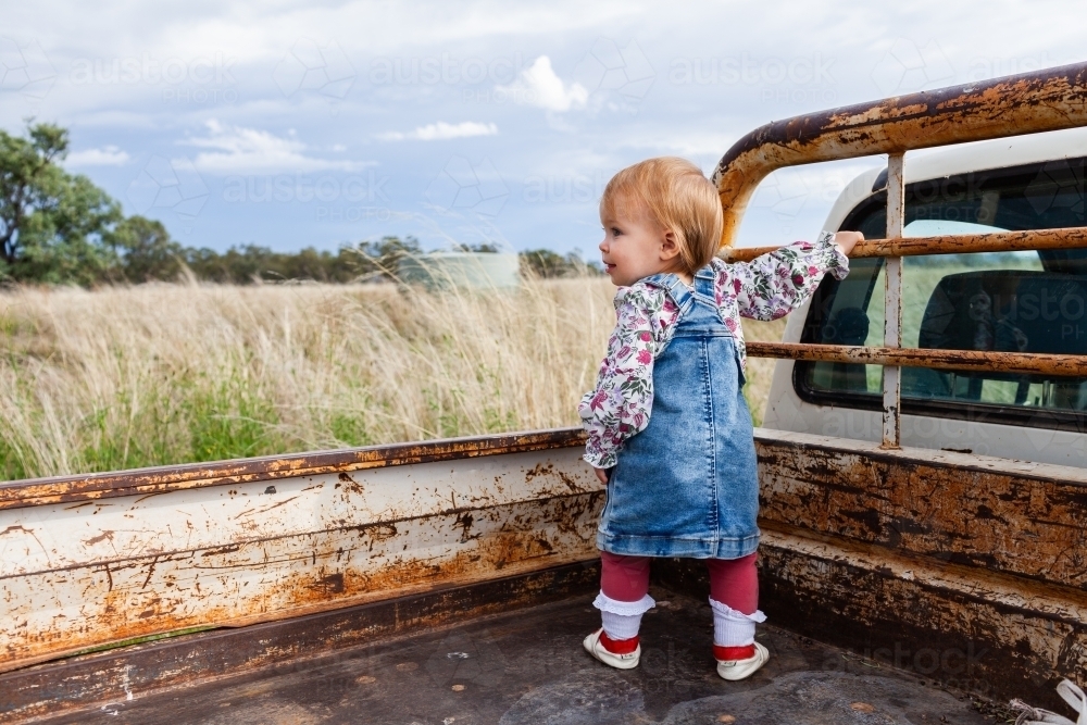 Toddler standing in back of ute on farm - country kid - Australian Stock Image