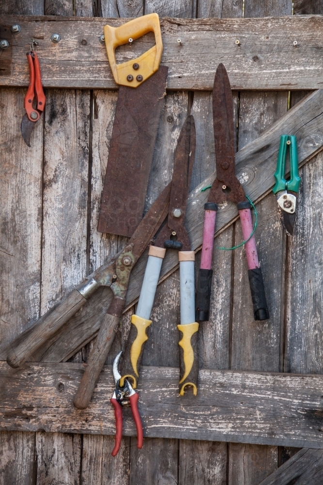 Image Of Tools Hanging On Wooden Tool Shed Door Austockphoto