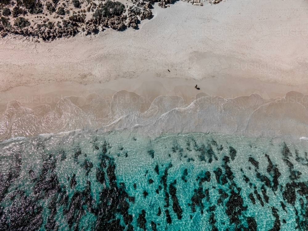 top shot of a white sand beach with bushes and seaweeds on a sunny day - Australian Stock Image