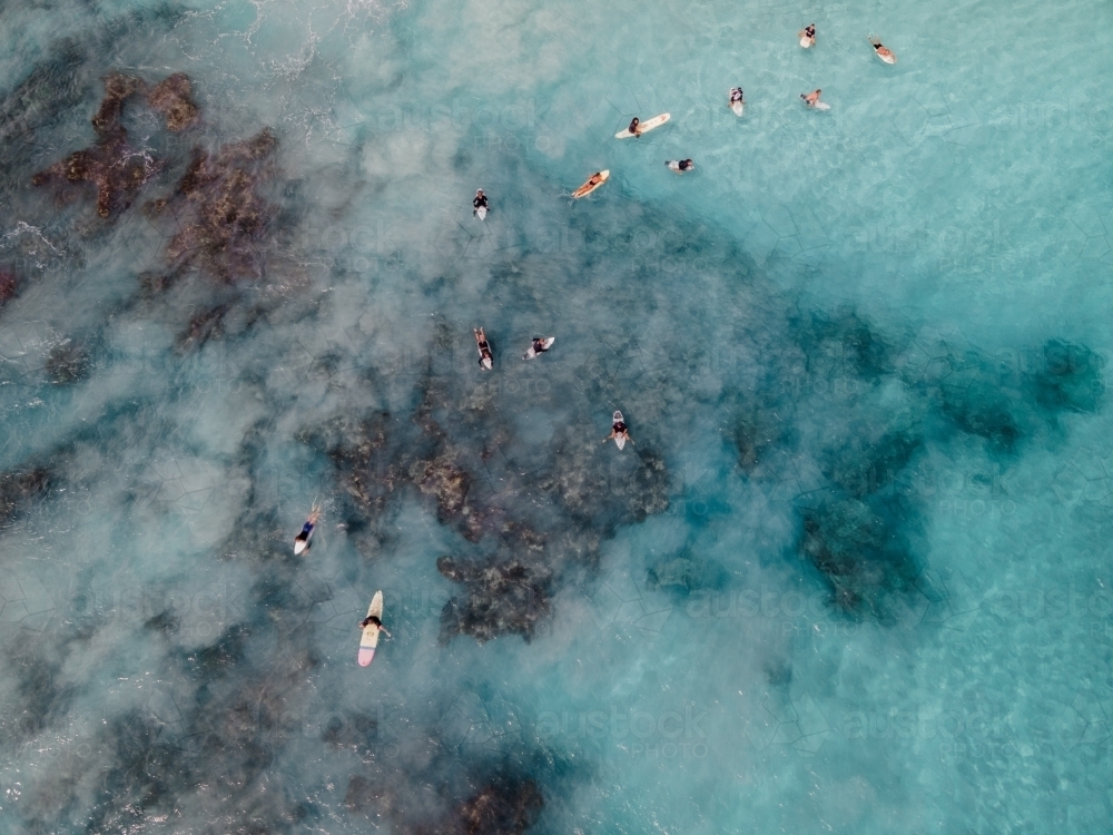 top shot of people surfing in the ocean - Australian Stock Image