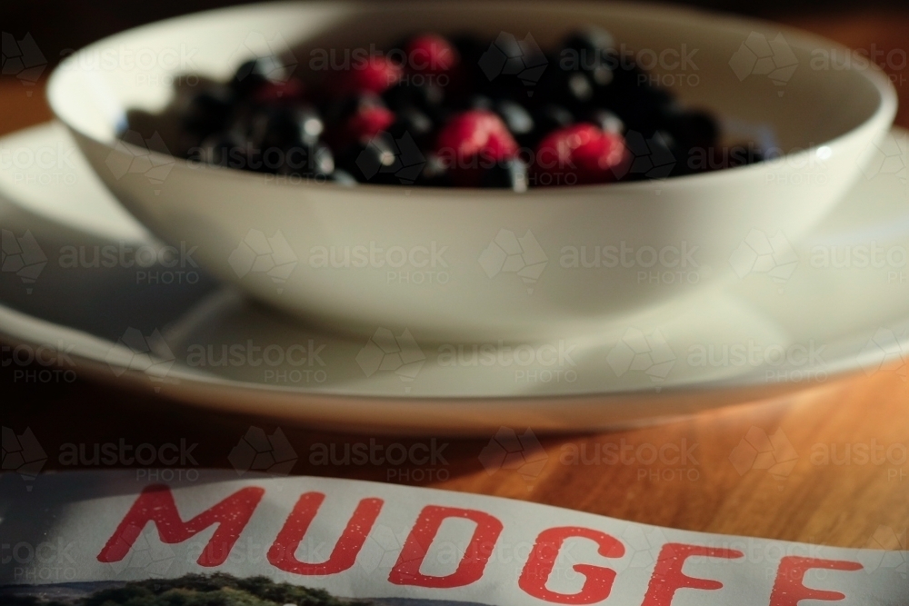 Tourism Brochure of Mudgee District with Berries in a bowl - Australian Stock Image
