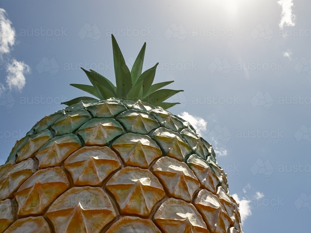 Tourist attraction in tropical region - Australian Stock Image