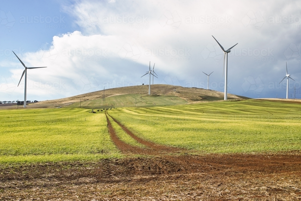 Track leading though paddock with wind farm - Australian Stock Image