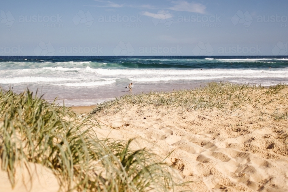 Track to beach with surfer in background - Australian Stock Image