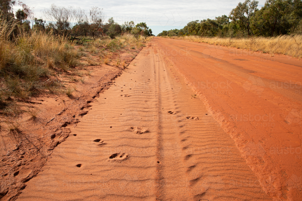 Tracks in red sand, on the edge of a red dirt road - Australian Stock Image