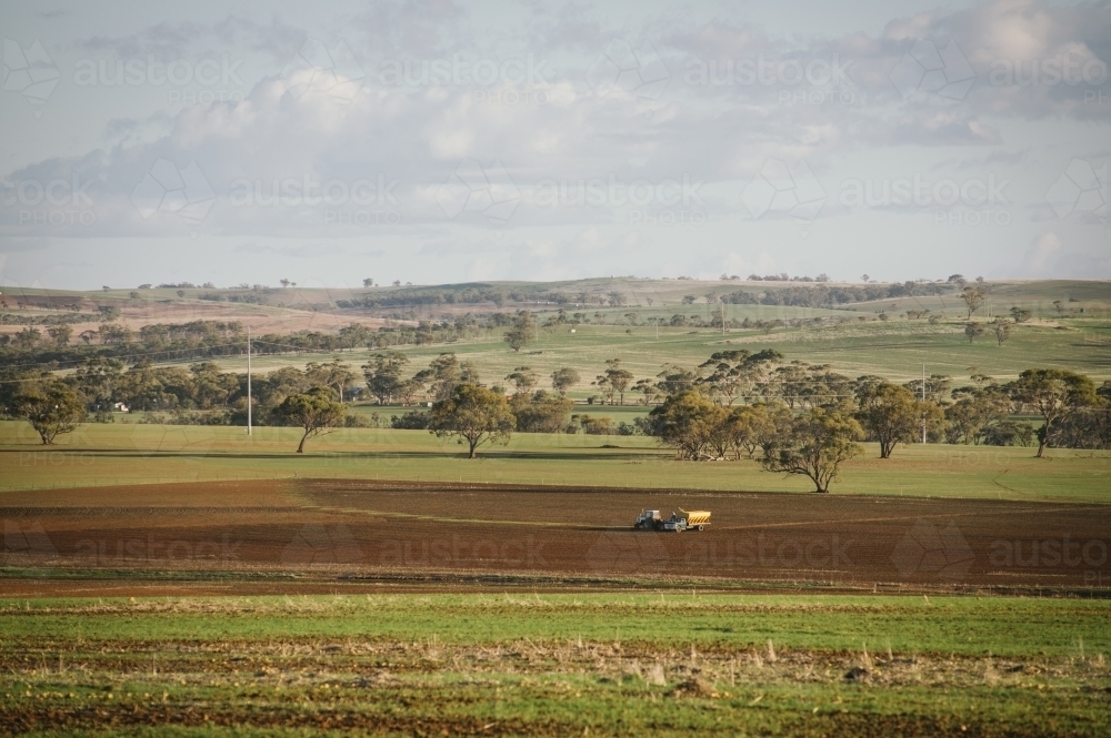 Tractor and truck in paddock at seeding in the Avon Valley region of Western Australia - Australian Stock Image