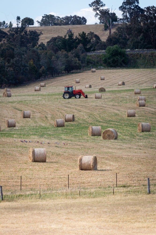 Tractor in a paddock about to pick up round bales of hay - Australian Stock Image