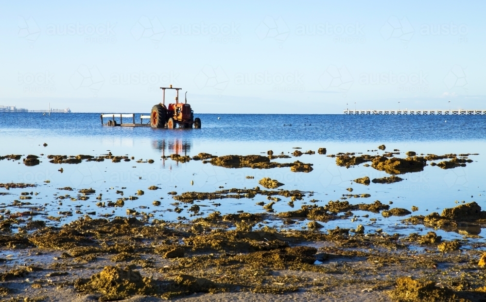 Tractor in the water at a beach - Australian Stock Image