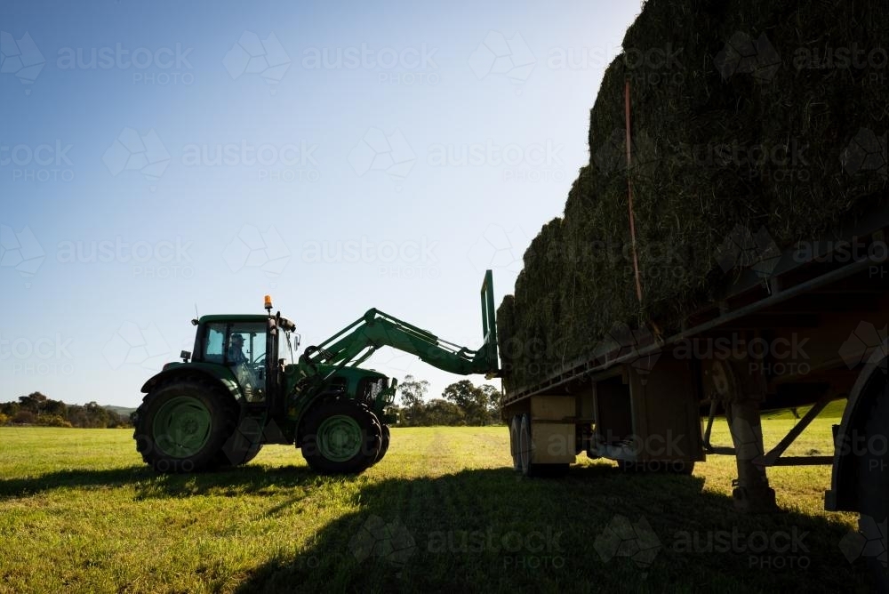 Image of Tractor loading hay - Austockphoto