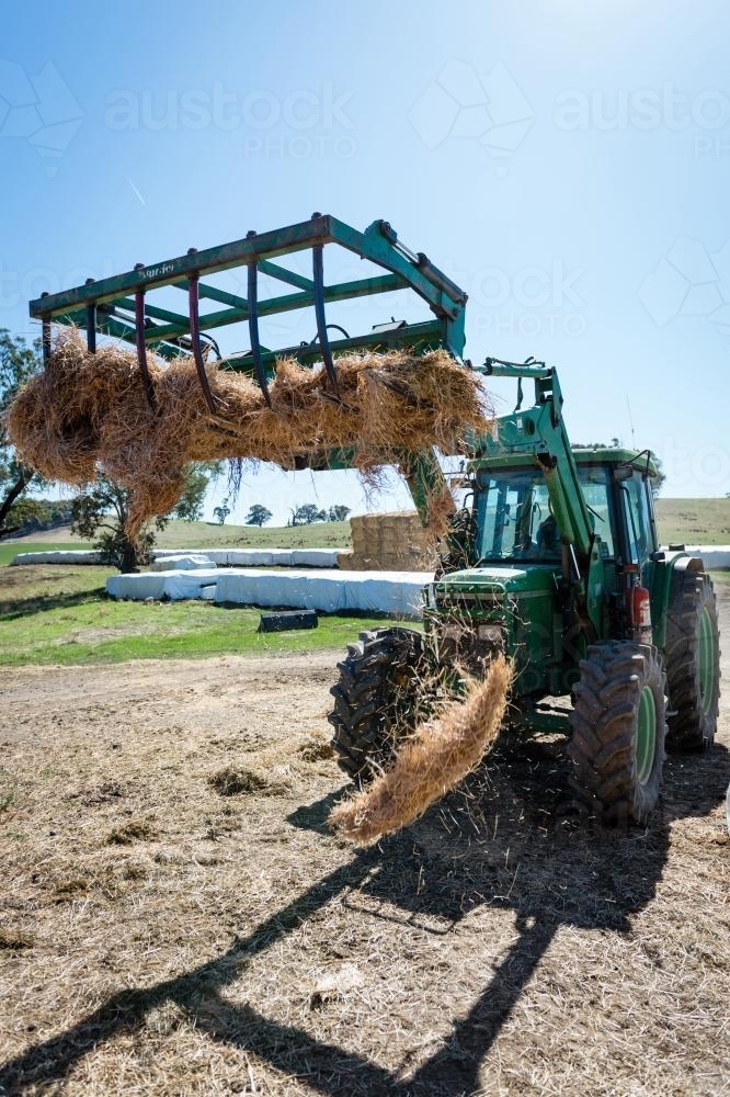 Image of Tractor loading the feeder - Austockphoto