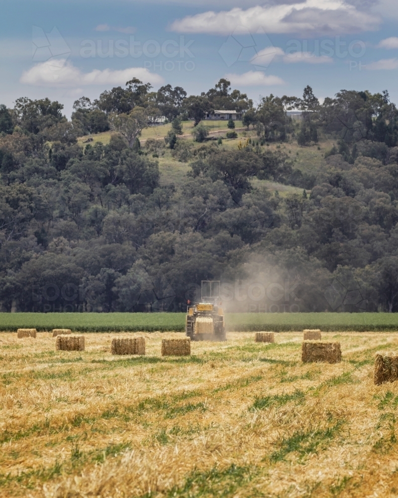 Tractor setting out hay bales in harvested field with tree covered hill & sky in the background - Australian Stock Image