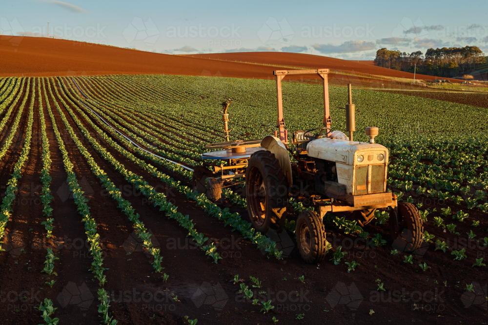 Tractor sits in the middle of a cultivated field - Australian Stock Image