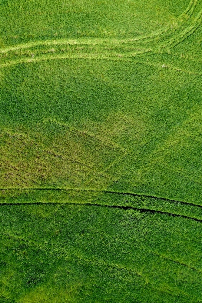 Tractor tracks in grass - Australian Stock Image