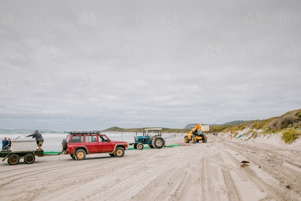 Tractors, trailers and 4 wheel drives on beach, commercial Australian salmon fishing season - Australian Stock Image