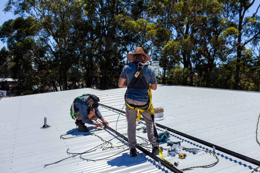 Harness For Solar Racking Image of Tradesmen in safety harness equipment installing rails for ...