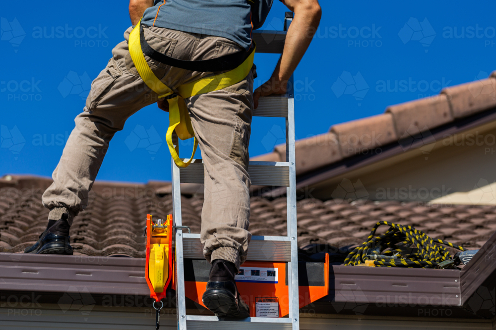 Image of Tradie climbing on roof of house in safety harness to secure ...