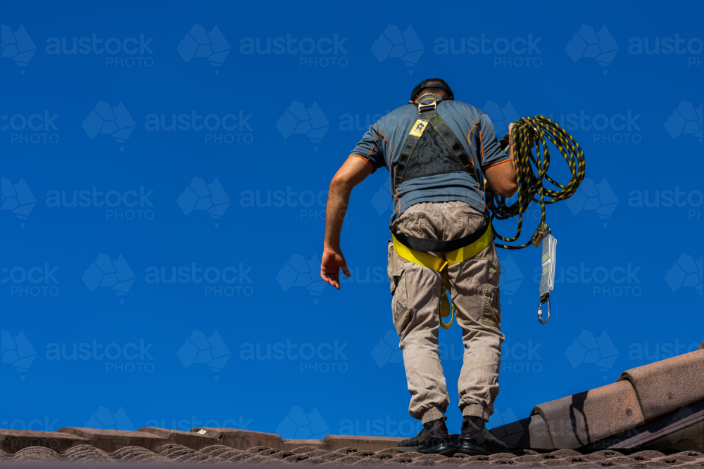 Image of Tradie climbing on roof of house in safety harness to secure ...