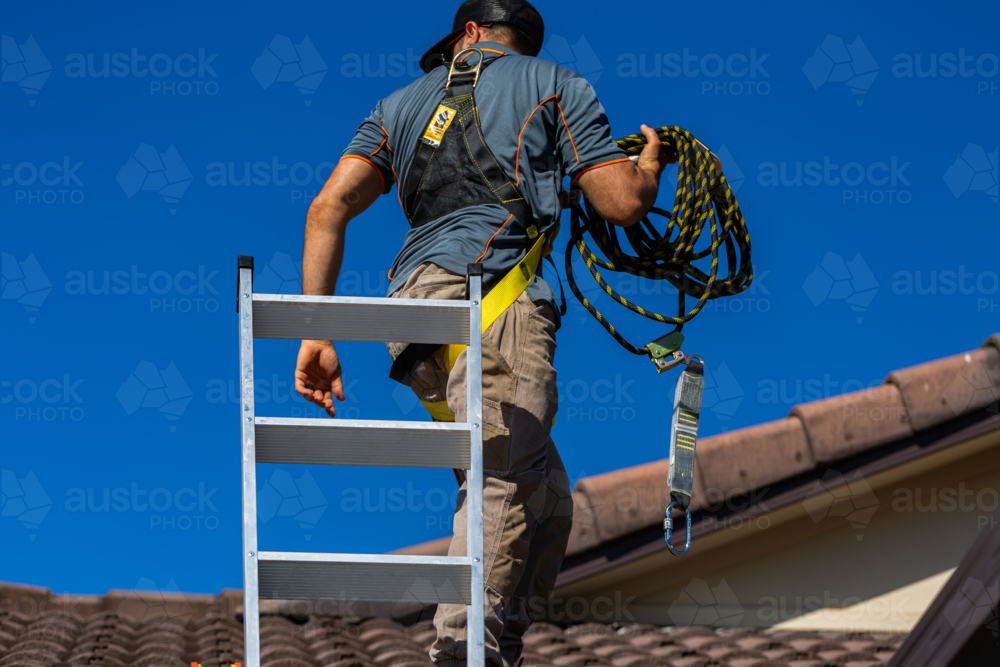Image of Tradie climbing on roof of house in safety harness to secure ...