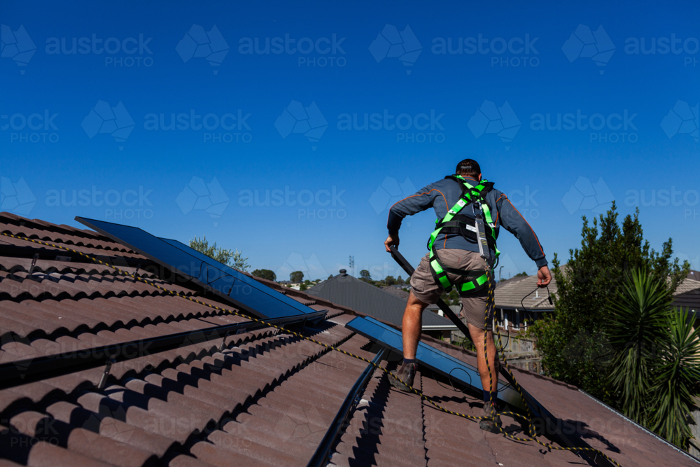 Image of tradie climbing on roof of house wearing safety harness ...