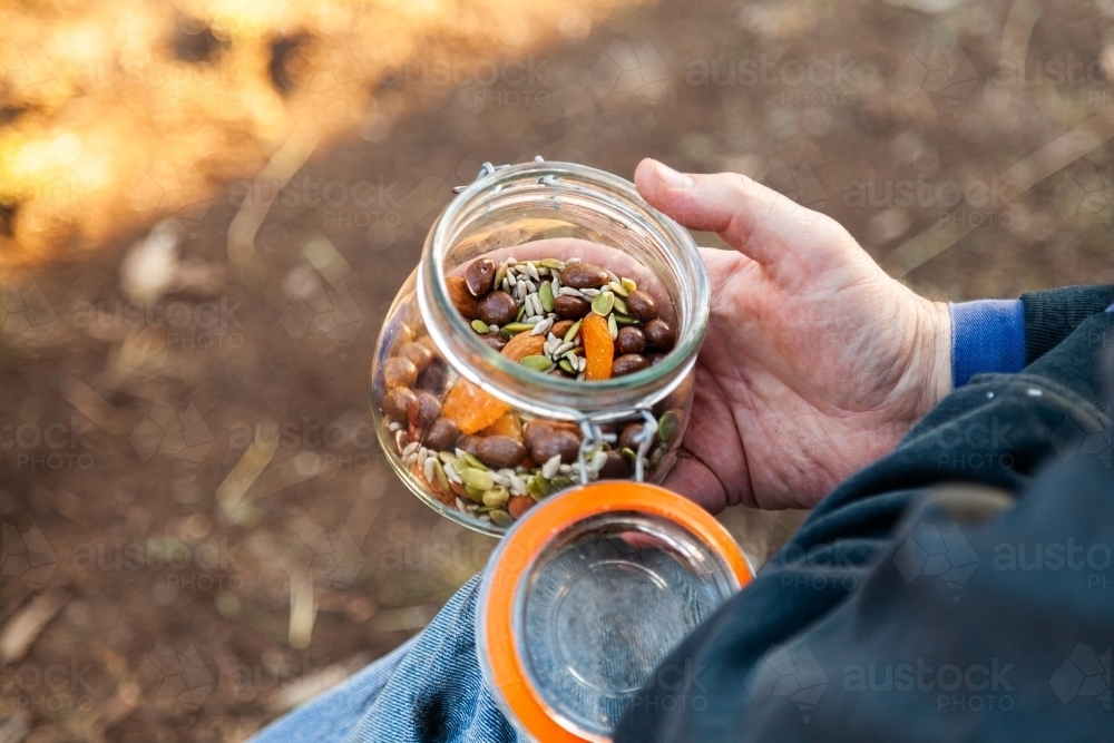 Trail mix snack in a jar at picnic - Australian Stock Image
