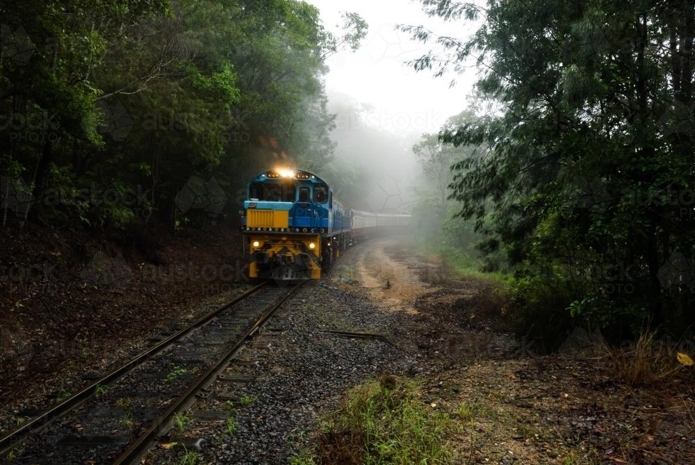 Train coming out of the mist in forested area - Australian Stock Image