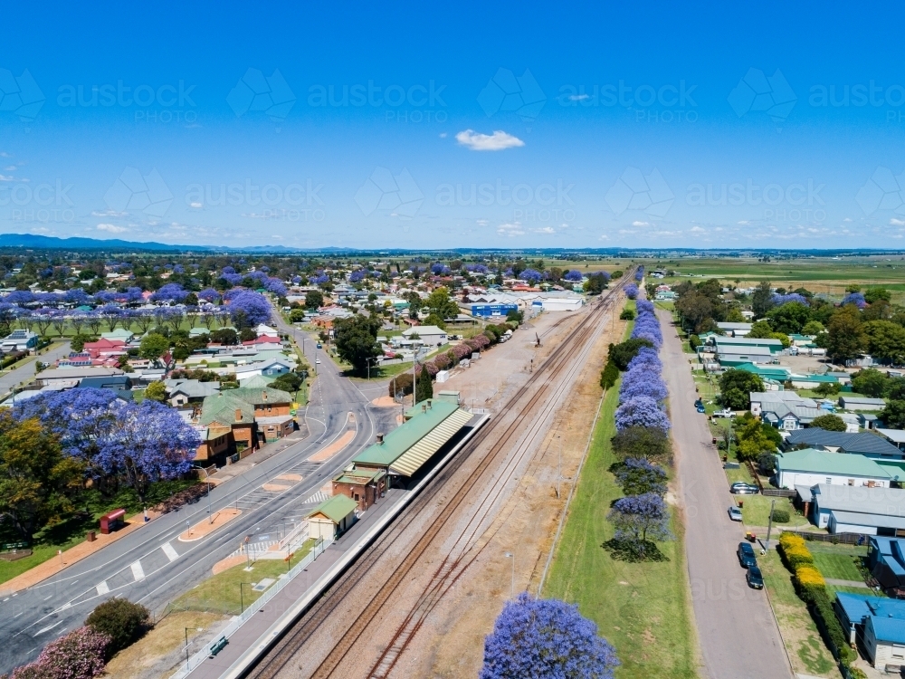 Train track and singleton train station in spring with flowering jacaranda trees - Australian Stock Image