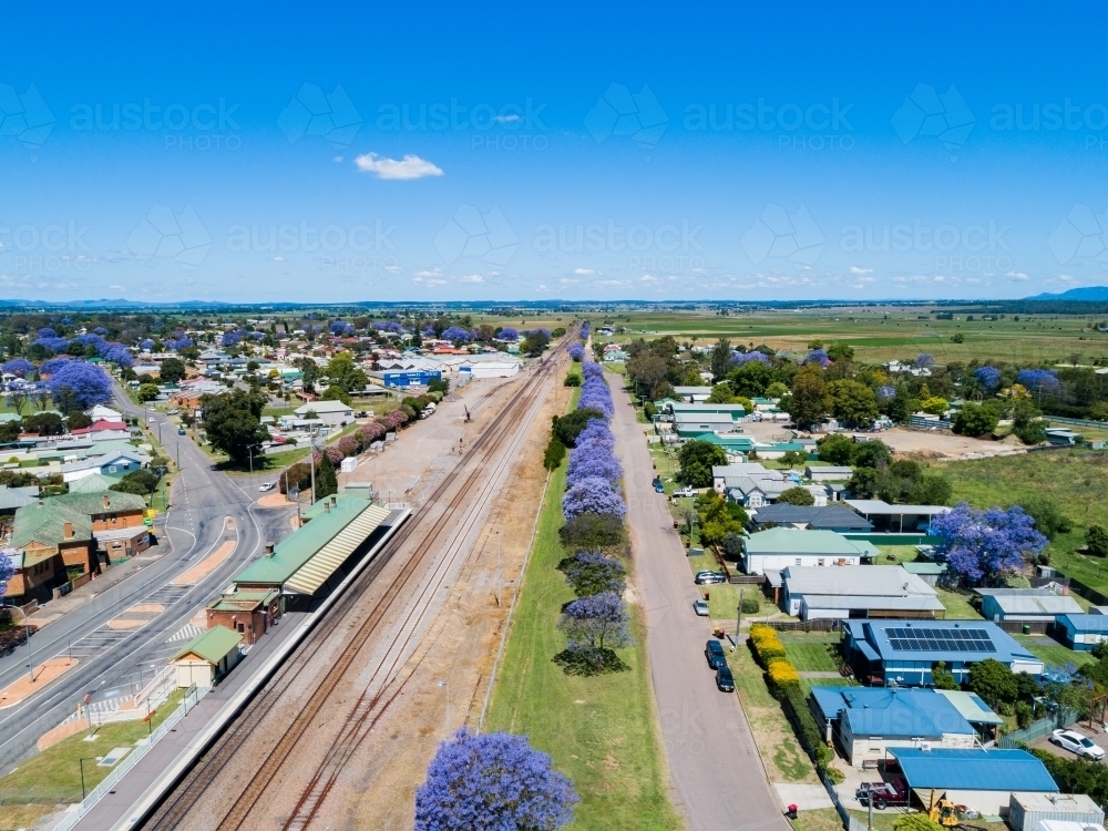 Train track and singleton train station in spring with flowering jacaranda trees - Australian Stock Image