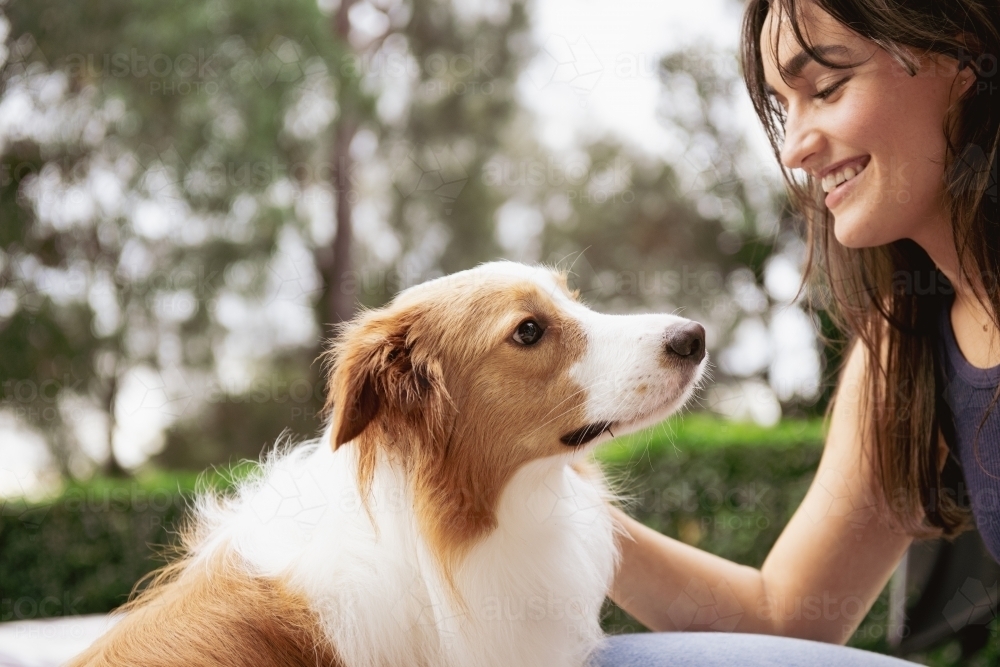 training a dog - Australian Stock Image