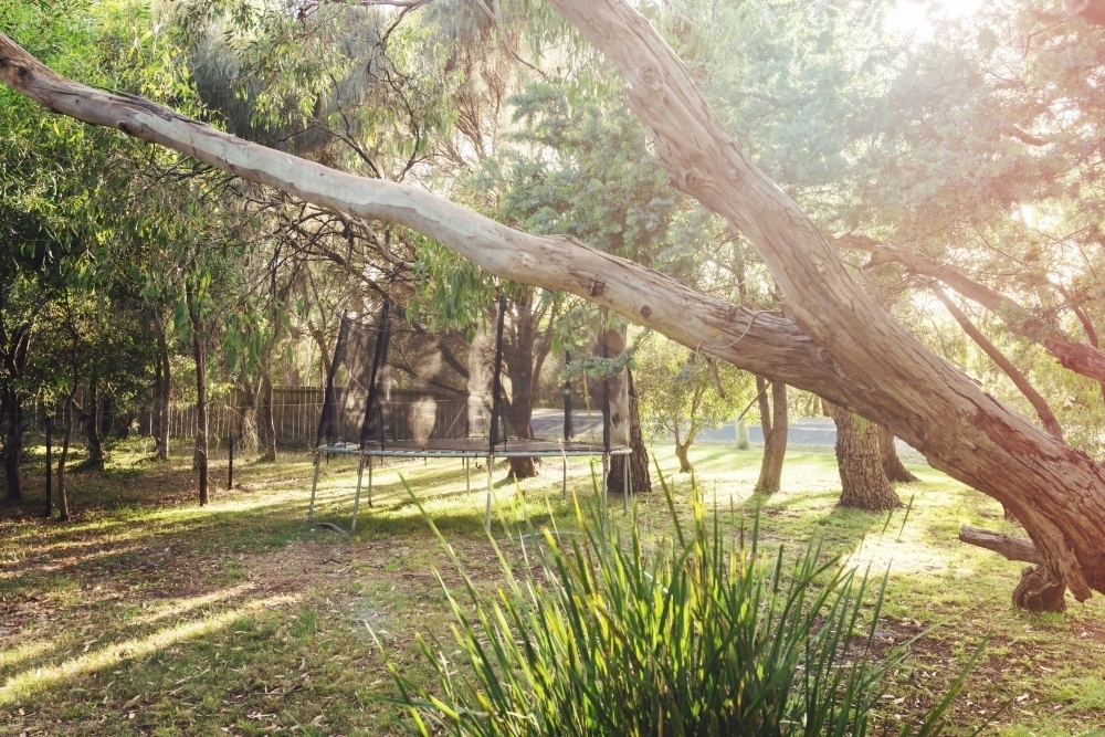 trampoline in the front yard - Australian Stock Image