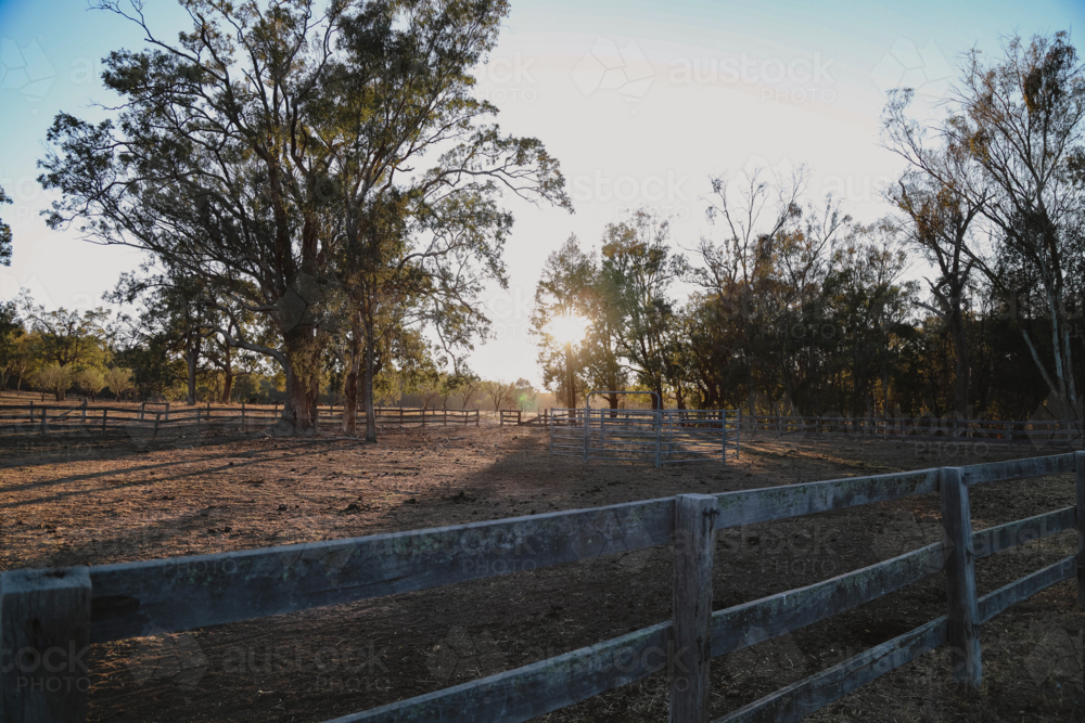 Tranquil countryside scene with sunset behind trees and shadows from rustic fence - Australian Stock Image