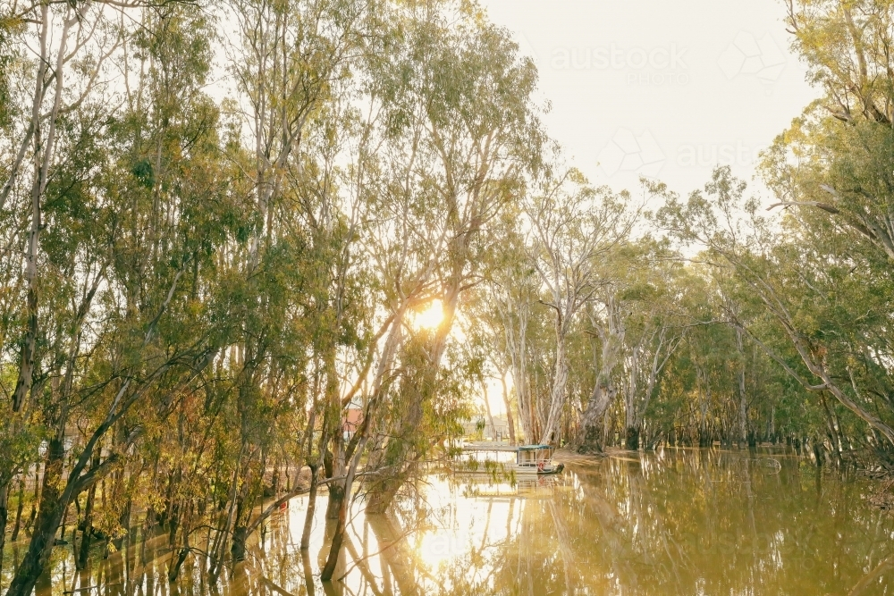 tranquil golden afternoon along the Gunbower Creek in Koondrook Victoria Australia - Australian Stock Image
