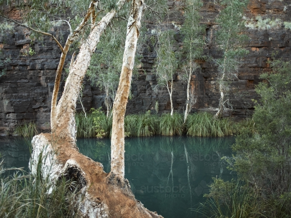 Tranquil stream at Karijini National Park - Australian Stock Image