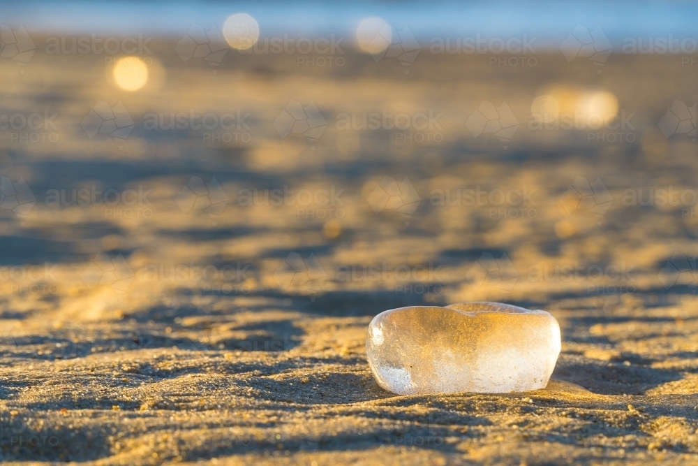 Transparent egg sacs glistening in the sunshine on a sandy beach - Australian Stock Image