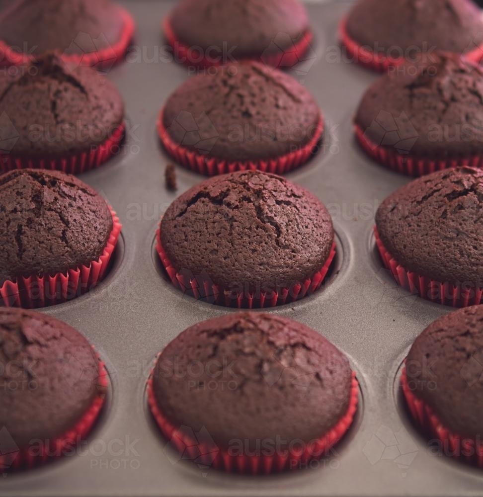 Tray of chocolate cupcakes fresh out of the oven - Australian Stock Image