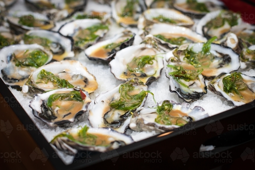 Tray of oysters with garnish - Australian Stock Image