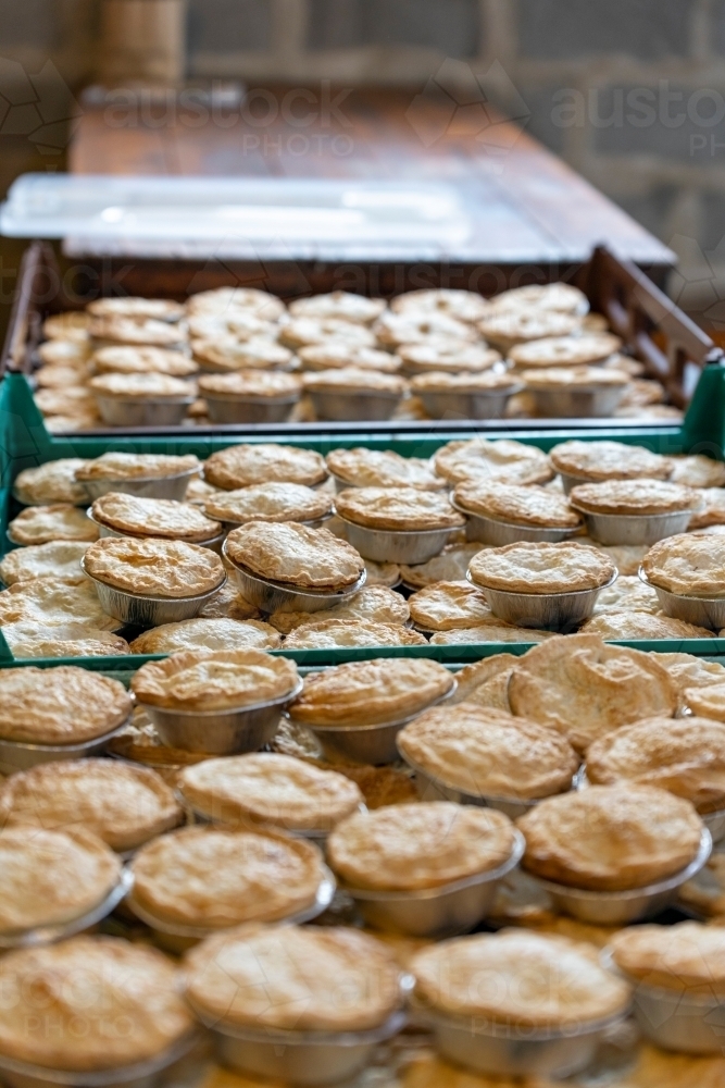 trays of pies on bench - Australian Stock Image