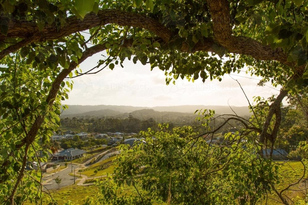 Tree branches and leaves framing view over country town - Australian Stock Image