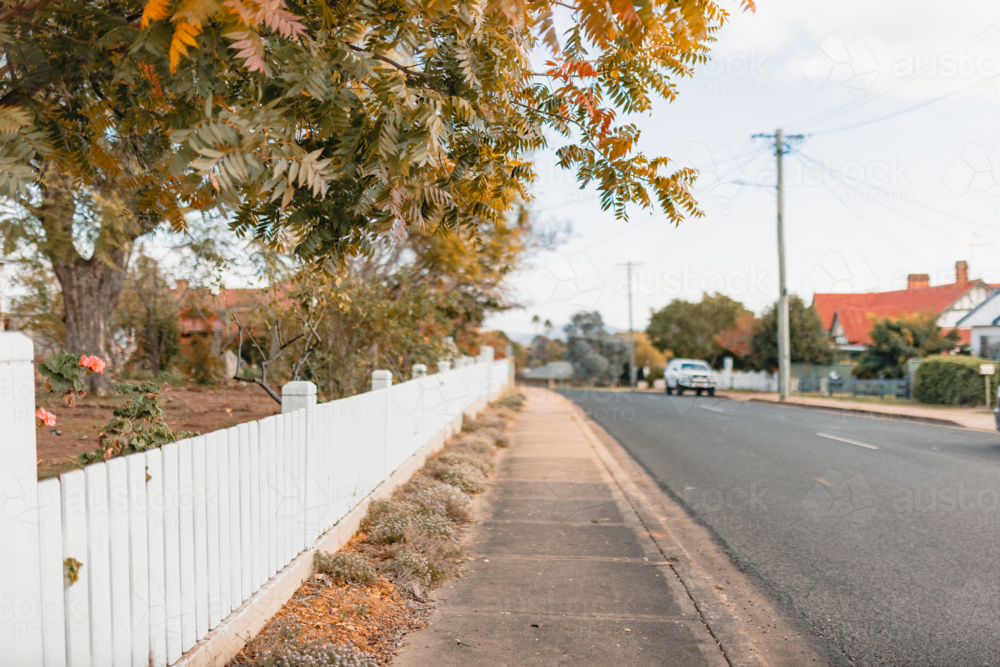 Tree branches hanging over white picket fence along footpath in rural country town - Australian Stock Image